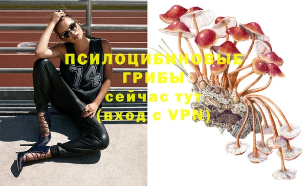 кокаин колумбия Алзамай