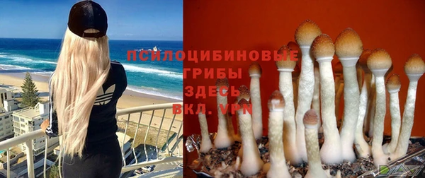 кокаин колумбия Алзамай