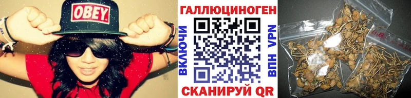 мега ссылка  Калининск  Псилоцибиновые грибы MAGIC MUSHROOMS 