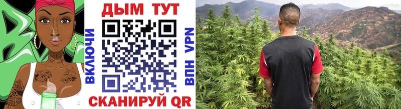 Каннабис Ganja  kraken маркетплейс  Калининск 